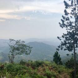 Aussicht von 1350m - Los Pinos Aussichtspunkt