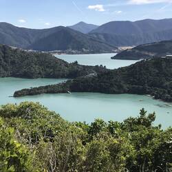 View of Kenepuru Sound from top of trail