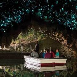 Glow worm cave