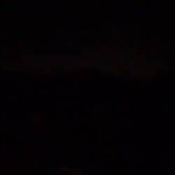 Froschkonzert in der Nacht