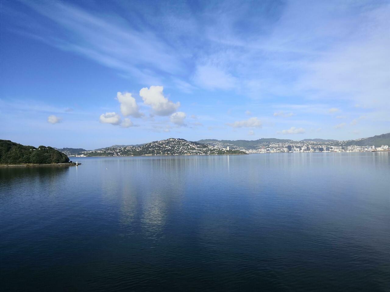 Ein letzter Blick auf Wellington
