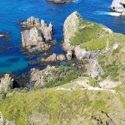 Nuggets off the point