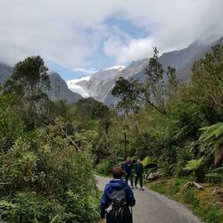 Auf dem Weg zum Franz-Josef-Glacier