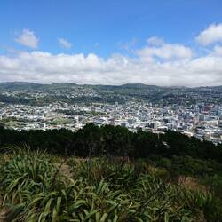 Blick vom Mt Victoria