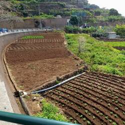 Lots of well-kept gardens. Space is not wasted