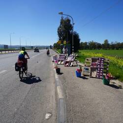 Fast wie in der Pfalz
