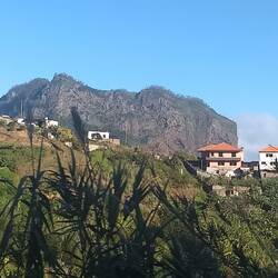 On the way home, into the sun.