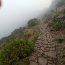 A great trail. Alot of work to make.