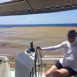 ??? Seetang oder Toilettenmüll vom Kreuzfahrtschiff 🙄☹️