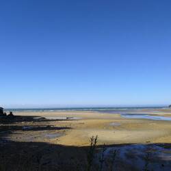 Wainui Bay bei Ebbe...