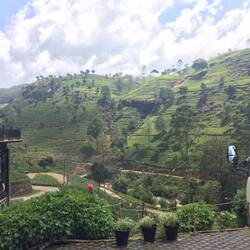 A stop midway up to the tea plantation