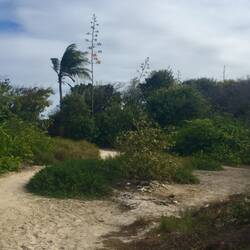 Auf Landgang zum Erkunden der Insel