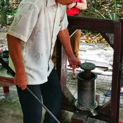 Verarbeitung der Kakaobohne