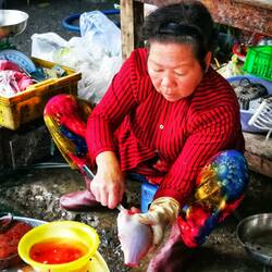 Hier bekommt man ganz frische Ware