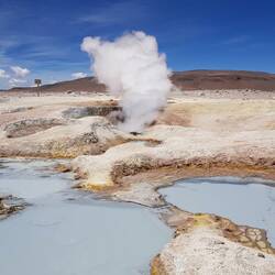 Geysir