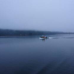 Tug boat tugging along. (Moving logs around)