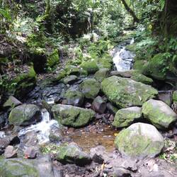 Tijdens de hike @ Gocta waterfall