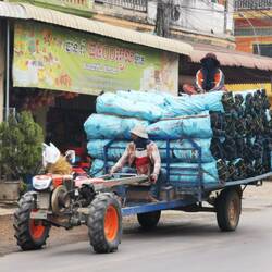Holzkohle-Transport, Battambang