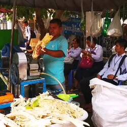 Verkaufsstand für Zuckerrohr-Saft, Battambang