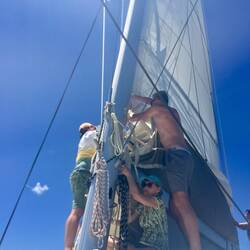 Segel wieder einholen