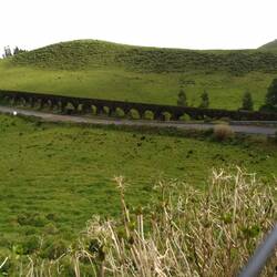Lush volcanic fields