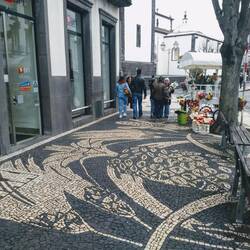 Beautiful street mosaics