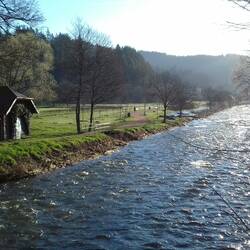 Dreisam und Schwarzwald