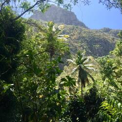 Der große Piton, 770 m hoch
