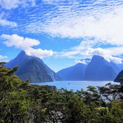 Lookout Milford Sound
