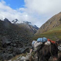Die Pfesel mit unseren Taschen
