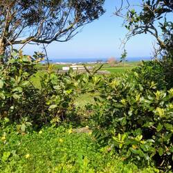 Pretty views everywhere on Sao Miguel.