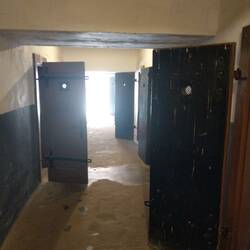 Isolation cells