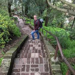 Tropical feelings am Telegraph Hill