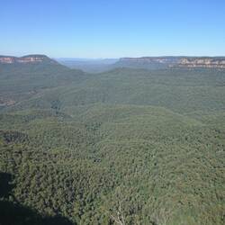 Blue Mountains
