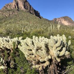 Dchön srhen sie schon aus.