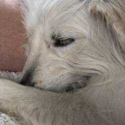 Endlich stachelfrei auf der Autofahrt Richtung CA.