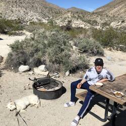 Beautiful sun in the morning. Tom fühlt sich voll gebendet. Er ist dieses Licht bicht mehr geöhnt.