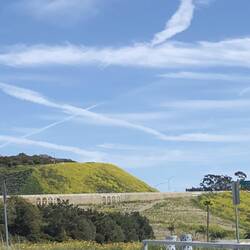 Es hat fast 1 Monat durchgeregnet. Deshalb ist alles so grün und überall blüht es.