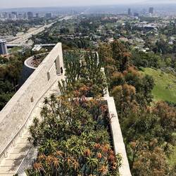 und der coole Kakteengarten