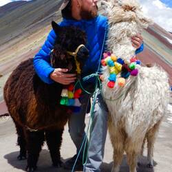 Dani in guter Gesellschaft