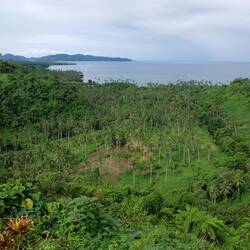 Aussichtspunkt mit netten Fijianer*innen