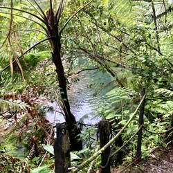Glitschige Steine auf dem Weg zum Wasserfall Nummer 1