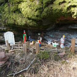 Mitten im Wald am Weg