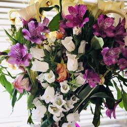 Meine Geburtstagsblumen haben sich super gehalten!!