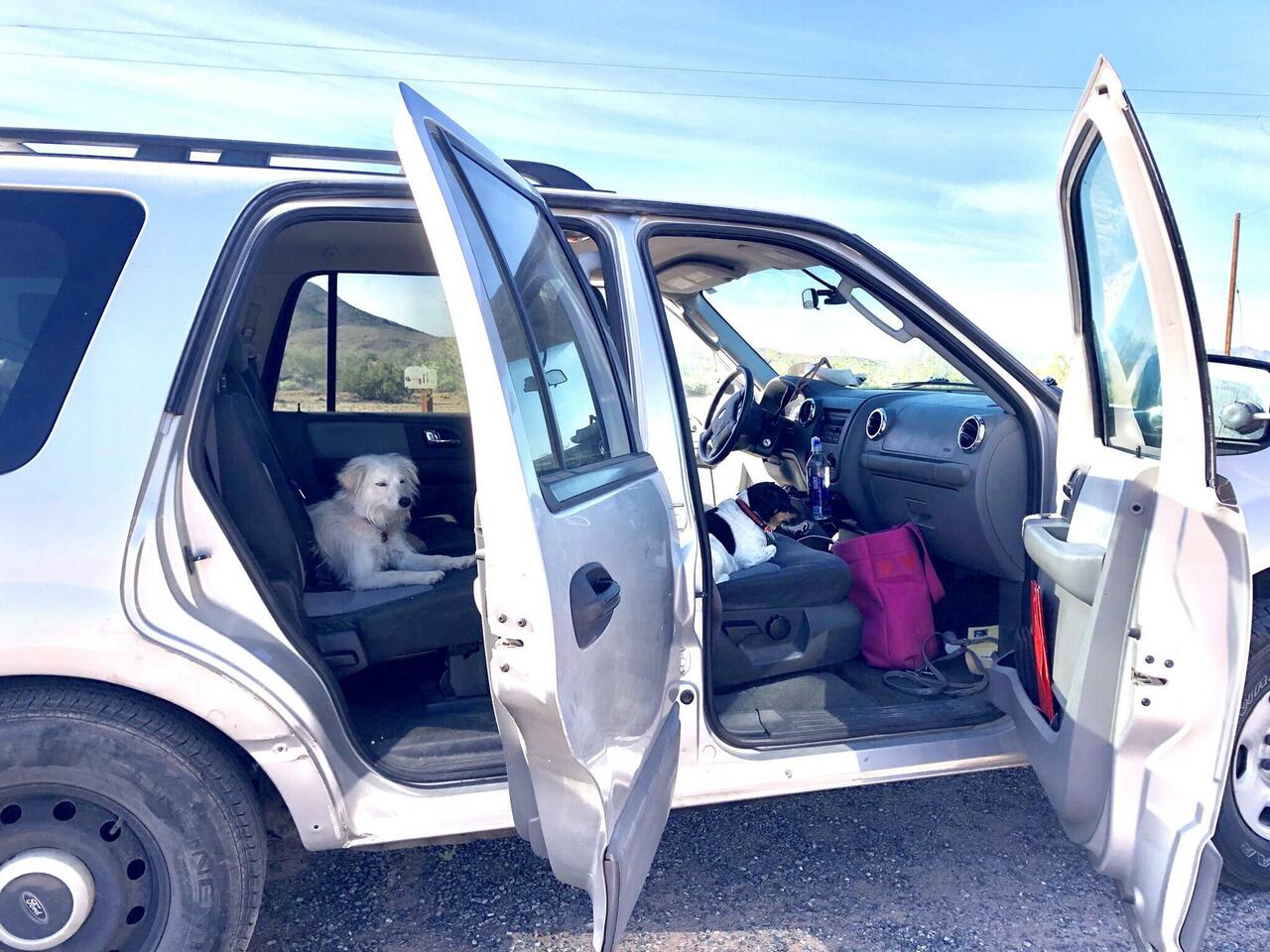 We like to be in the car way before take off to avoid to be forgotten.