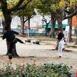 Zum Sonntag gibt's Kampfsport im Park