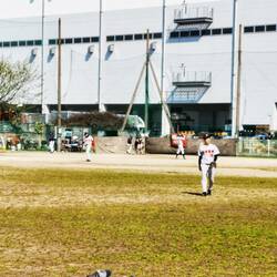 Baseball ist hier sehr beliebt