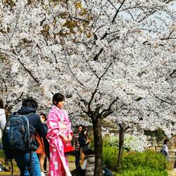 Osaka Castle Park