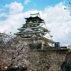 Osaka Castle vom Park aus