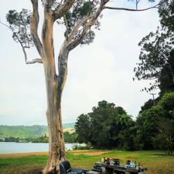 Das war wohl eine heftige Party 😅